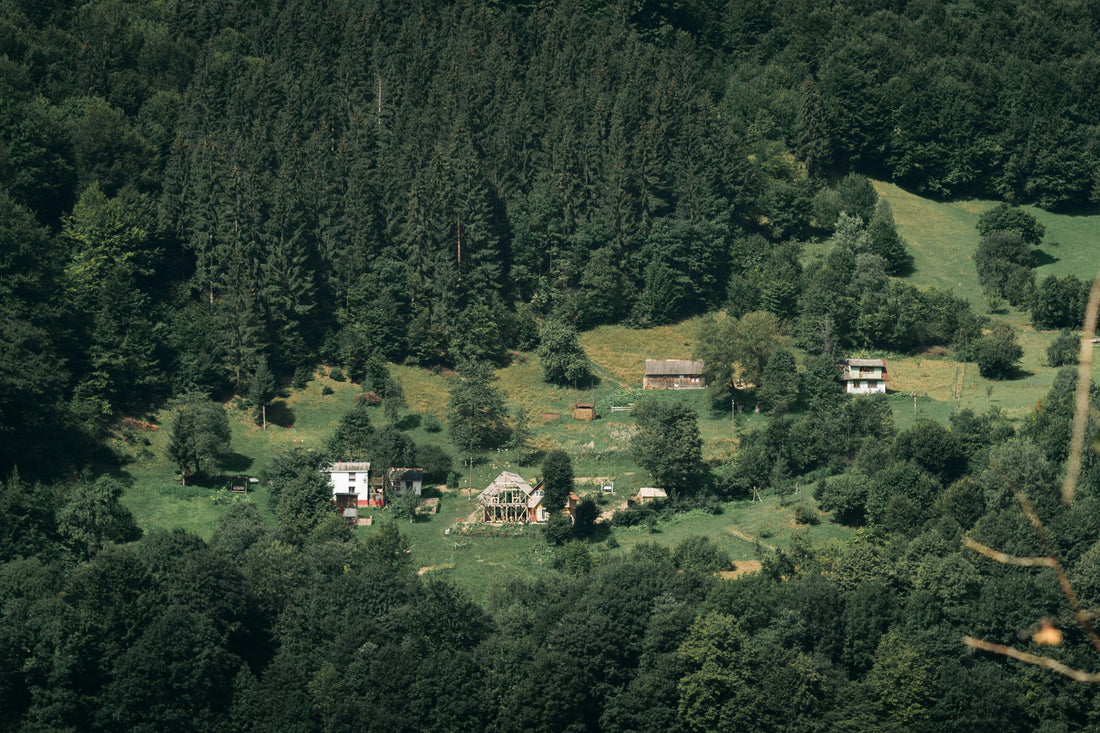 Top 10 Most Affordable States to Buy Land in 2025