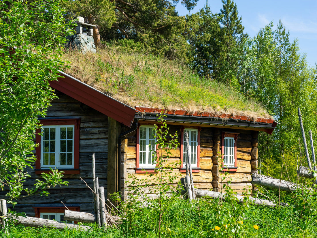 10 Eco-friendly Home Features